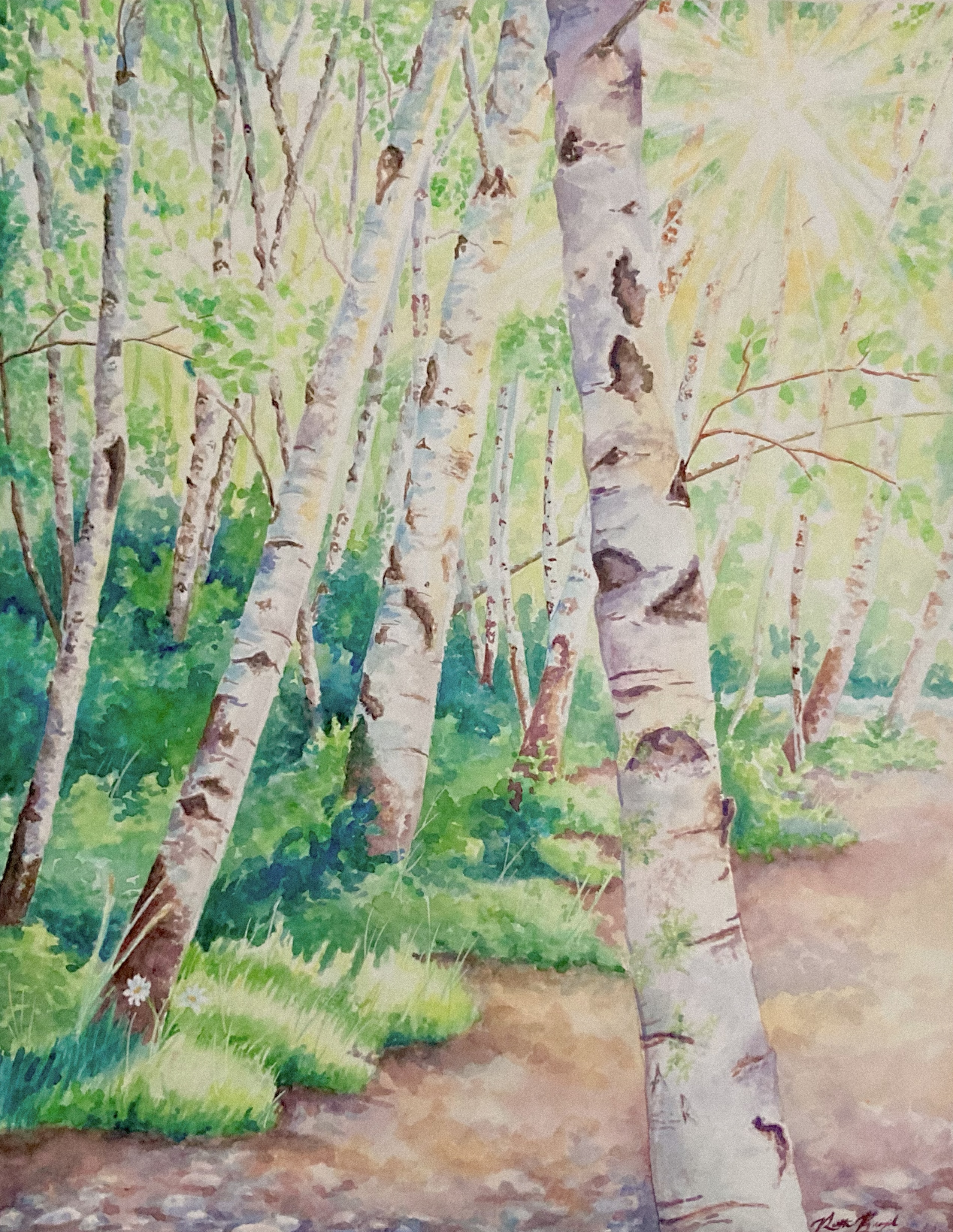 Watercolor painting of an aspen grove