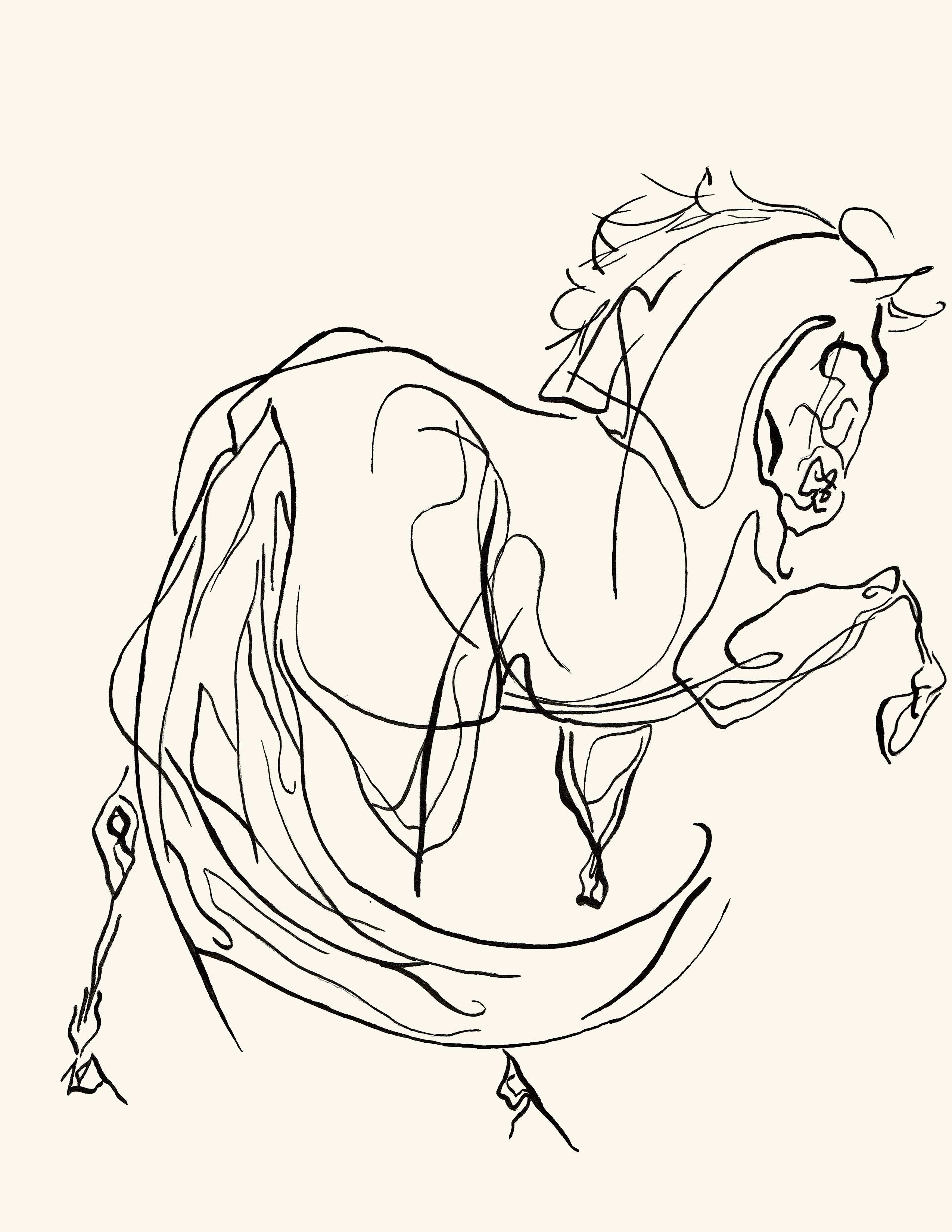 Graphite drawing of a horse breaking free