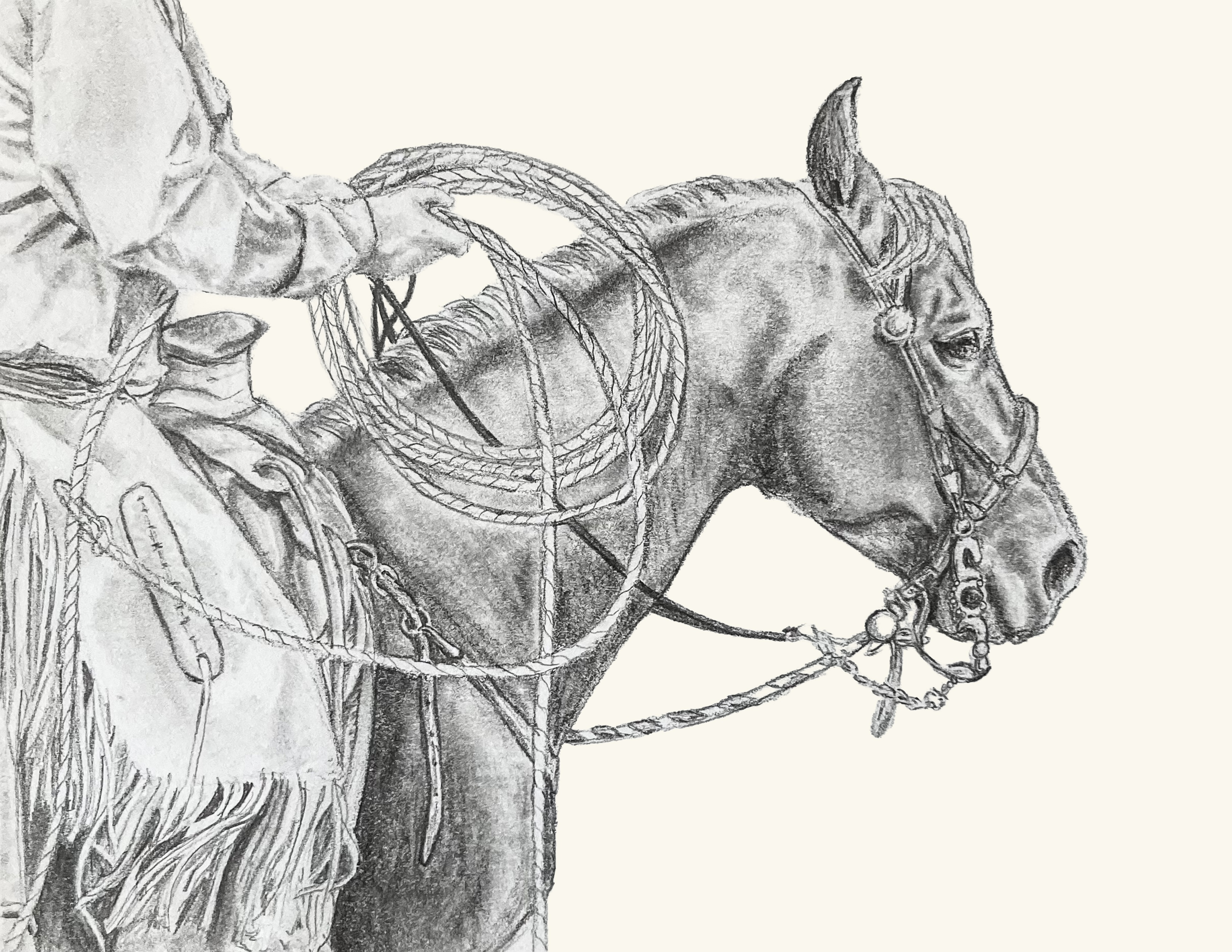 Graphite drawing of a horse's bridle and rein