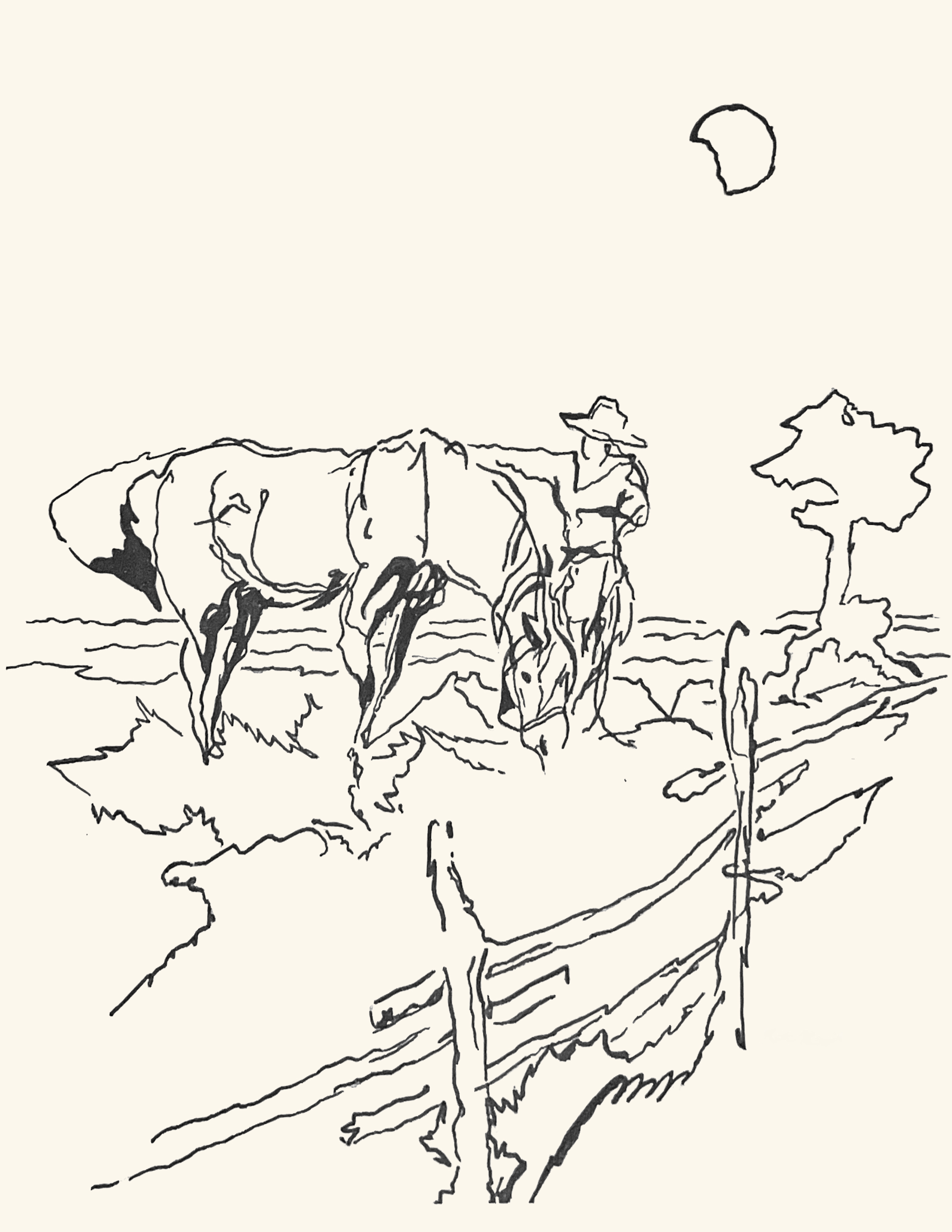Graphite drawing along a fence line
