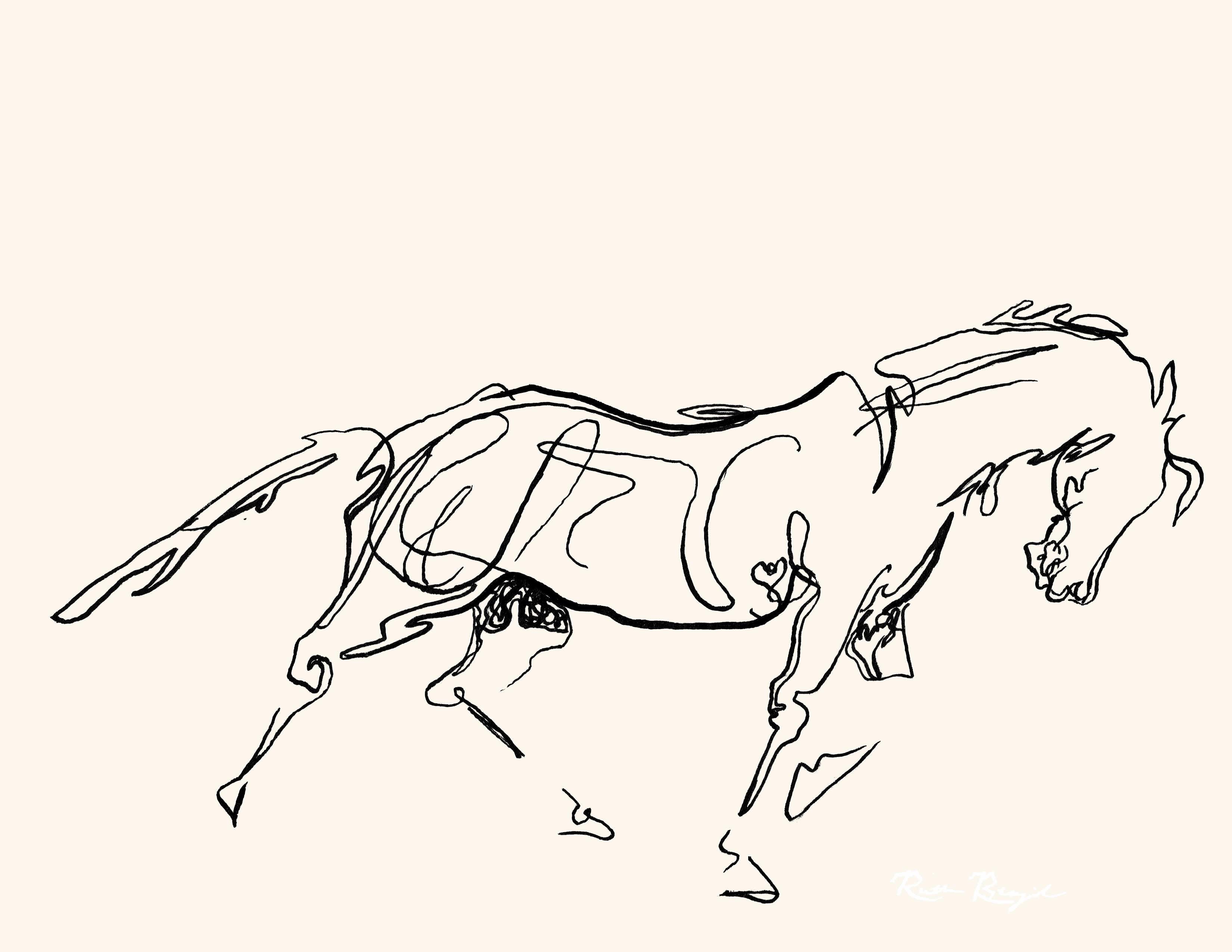 Graphite drawing of a horse in full stride