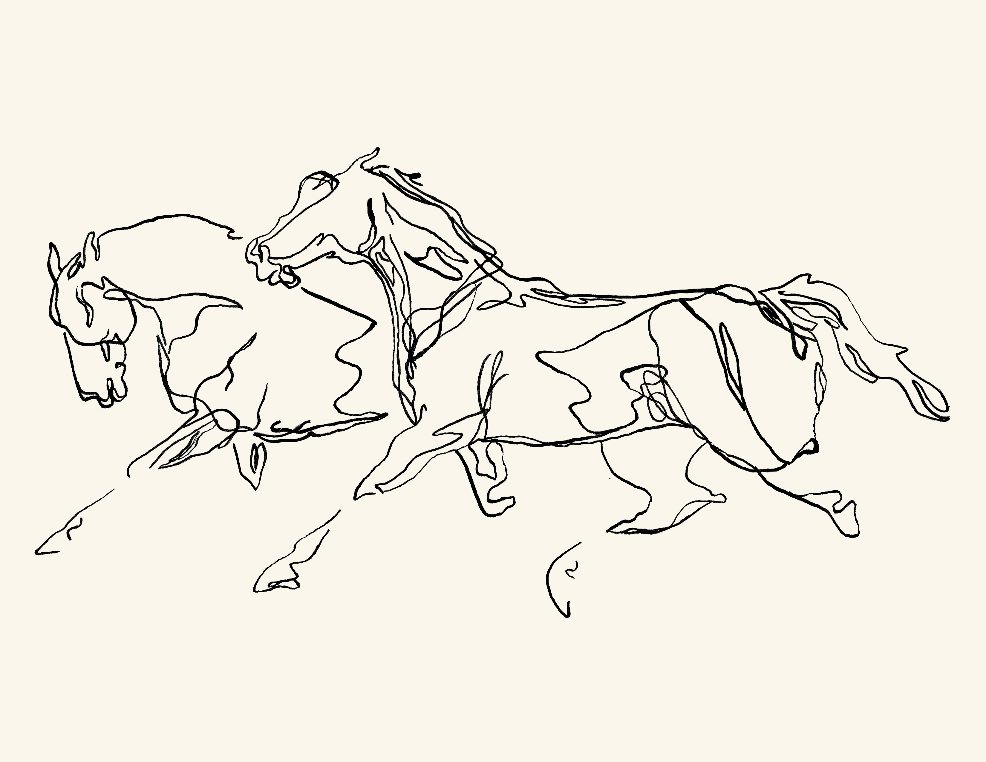 Gestural graphite drawing of horses running free