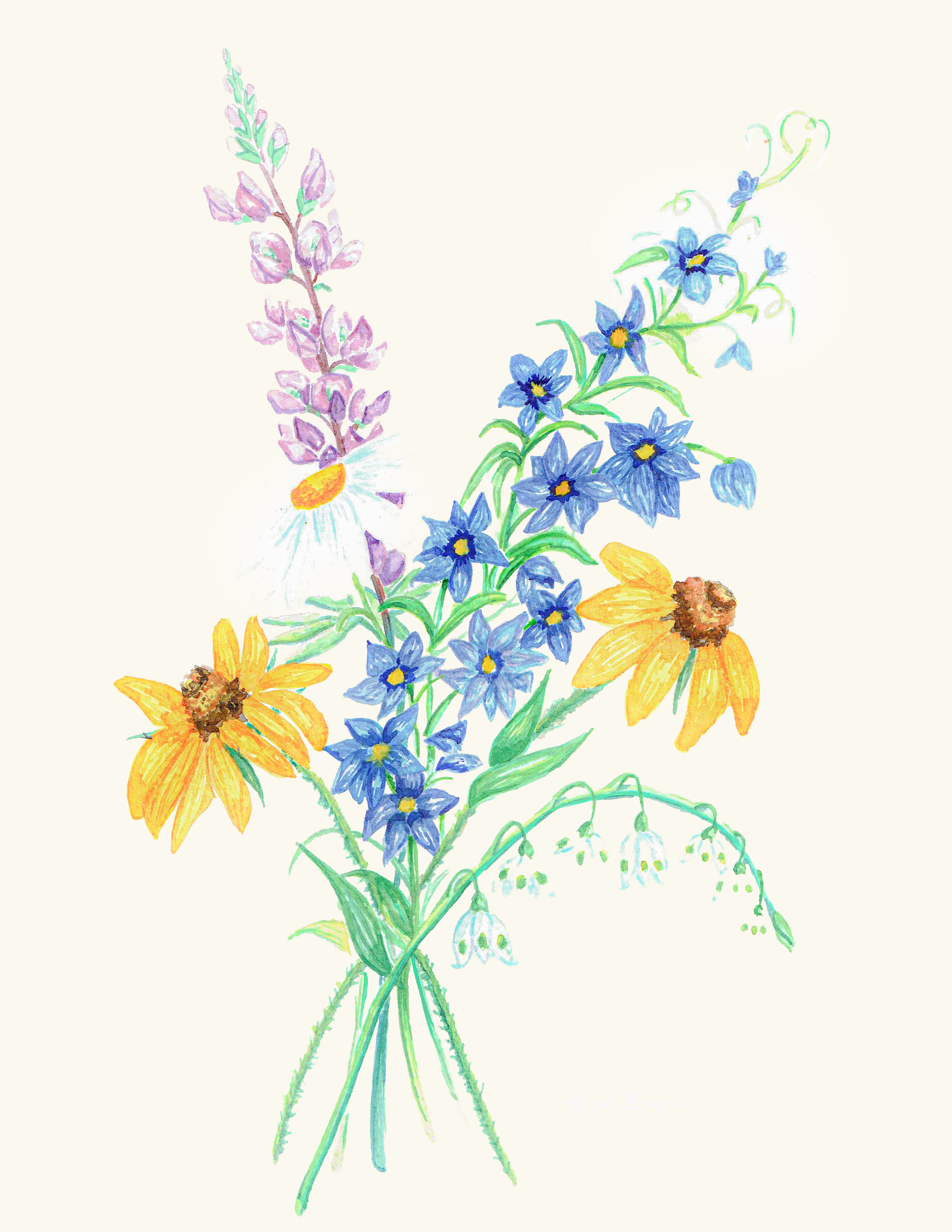 Watercolor study of wildflowers